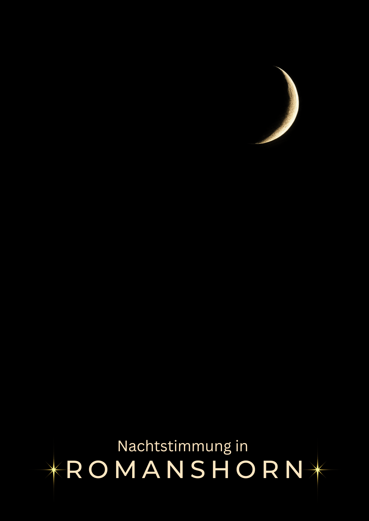 „Nachtstimmungskarte Romanshorn – Limitierte Edition mit Blick auf den Bodensee bei Nacht"