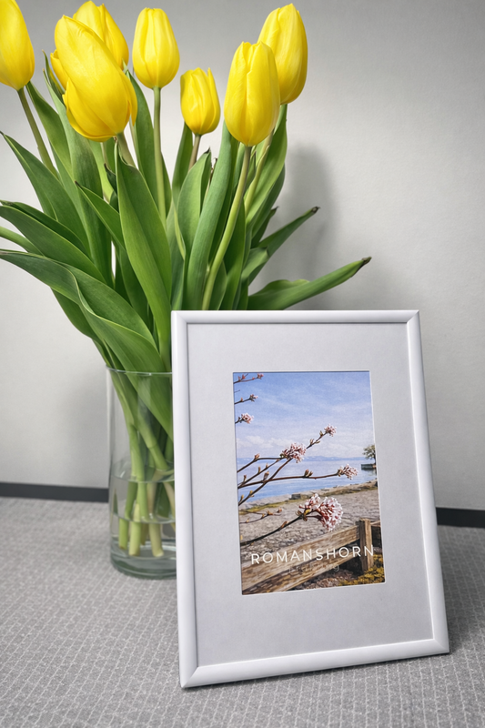 Postkarte „Frühling"